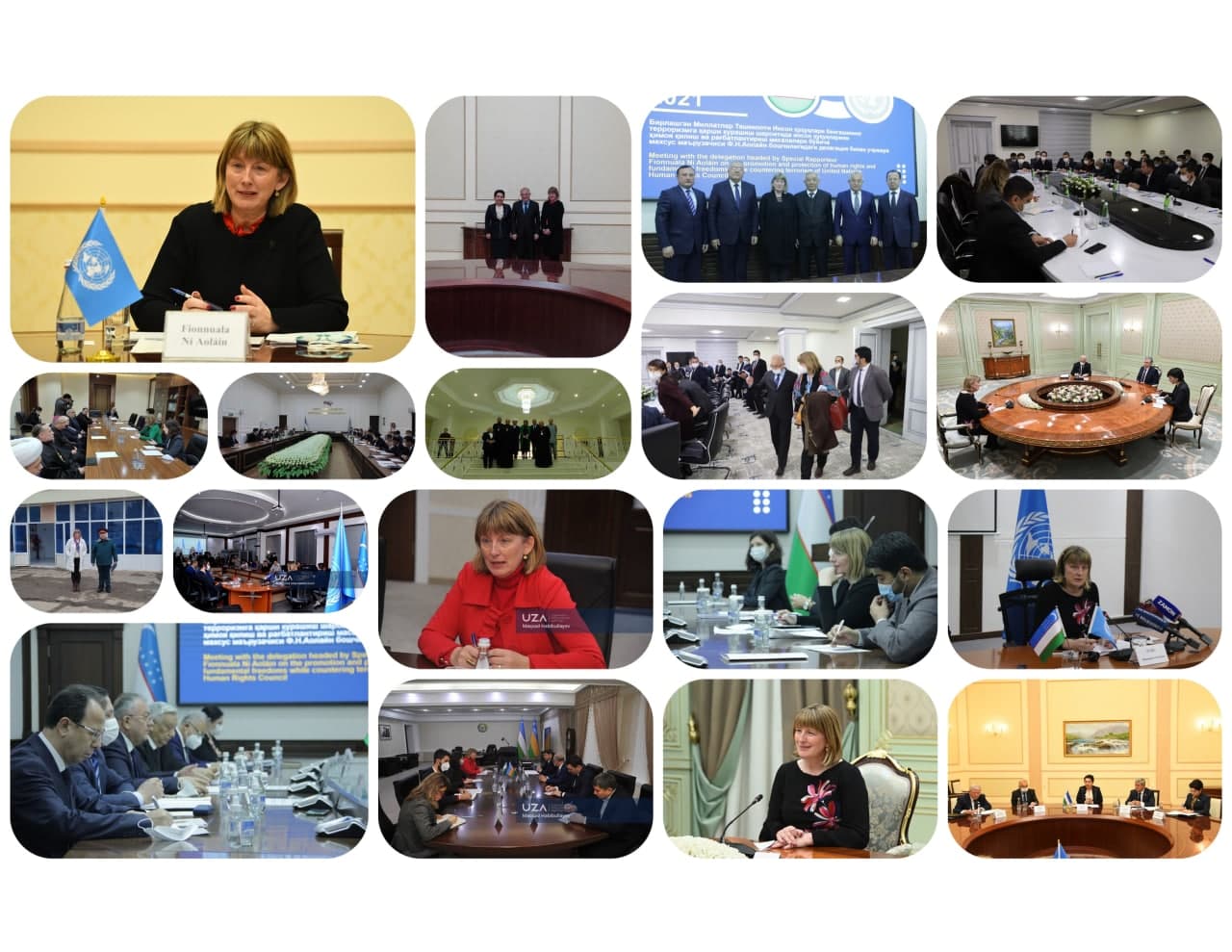 BMT MAXSUS MA’RUZACHISINING O‘ZBEKISTONGA TASHRIFI YAKUNLARI: VIDEOLAVHA