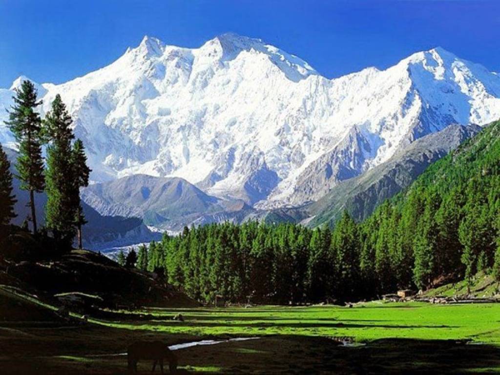 Kashmir muzi juda tez erimoqda