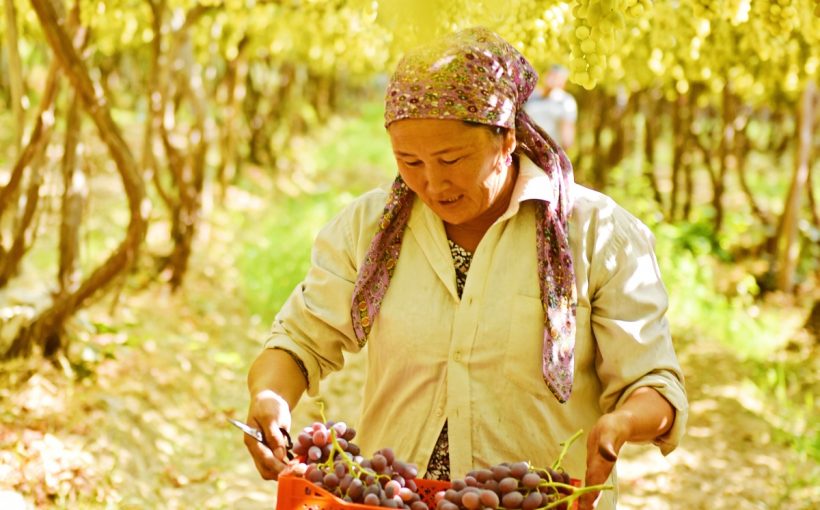 15-oktyabr – Xalqaro qishloq ayollari kuni