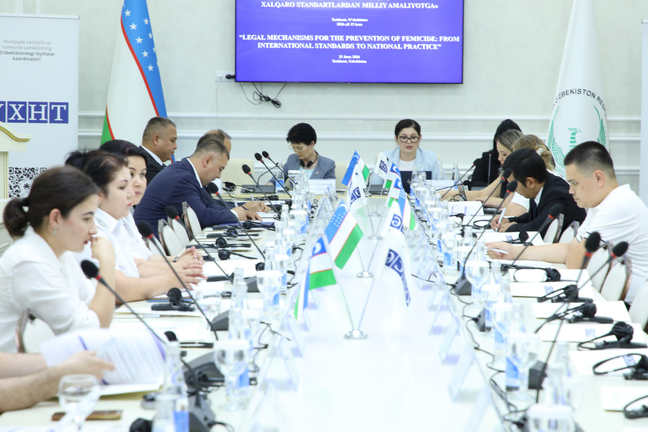 International and national legal mechanisms for preventing femicide discussed in Tashkent