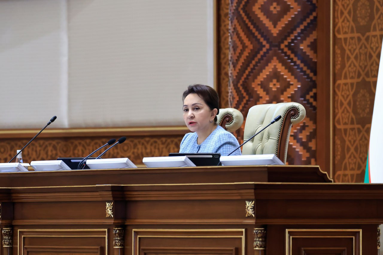 Senat yalpi majlisida Inson huquqlari bo‘yicha vakil (ombudsman)ning 2024-yildagi faoliyati muhokama qilindi