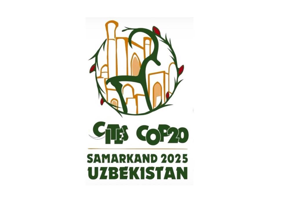 Samarqand deklaratsiyasi imzolandi
